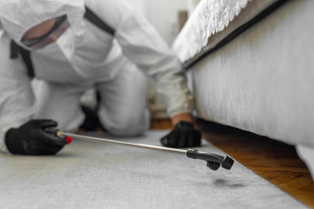 Professional Termite Control technician working in Gholson, TX