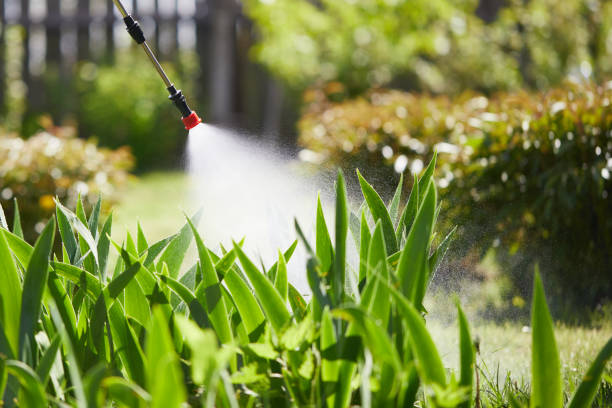 24/7 Emergency Termite Control experts in Gholson, TX