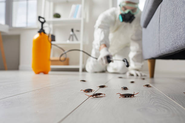 Affordable Termite Control solutions in Gholson, TX